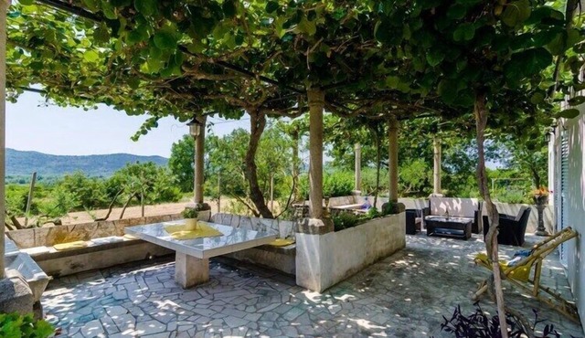 Holiday Home Field of Olives - Two Bedroom Holiday Home with Terrace