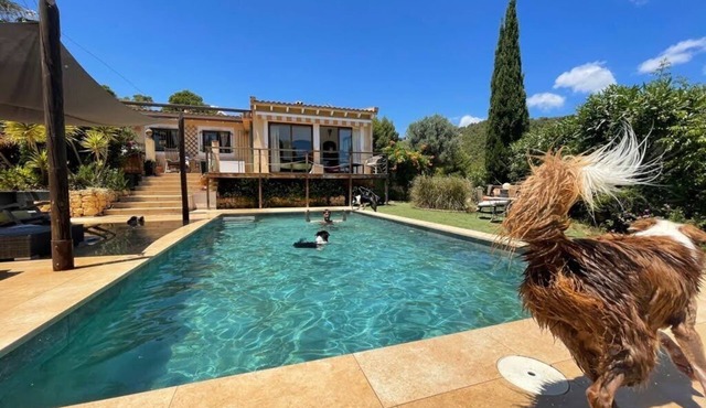 Holiday home for people with dogs!