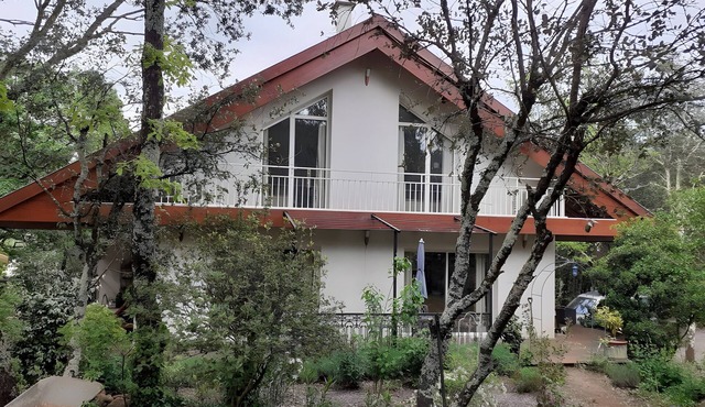 Holiday Home 'A Romantic Retreat in The Woods' with Mountain View, Wi-Fi and Air Conditioning