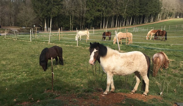 Holiday Home 'Gîte Le Clos Du Bannet' with Wi-Fi