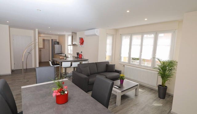 Holiday Home 'Gîte Saint-Martin' with Wi-Fi and Air Conditioning
