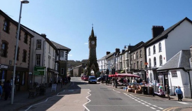 Holiday Home Helyg by Interhome