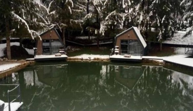 Holiday Home Snow Hill with Swimming Pool