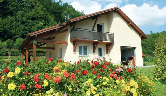 Holiday Home in Vosges with Garden and BBQ
