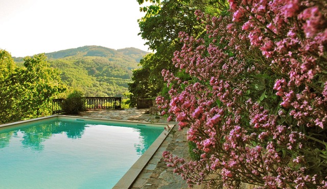 Holiday Home in Ardèche – Private Pool, Peaceful Setting, Pets Welcome