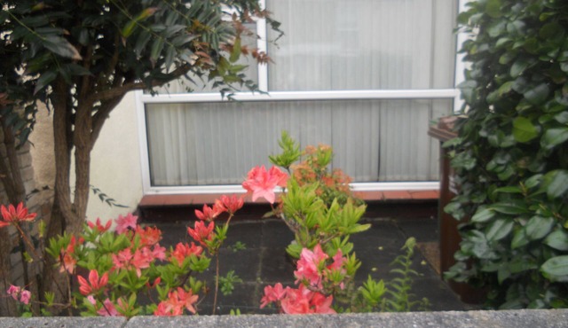 Holiday home in Plymouth