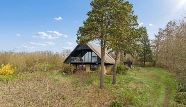 Holiday home in the forest with sea view