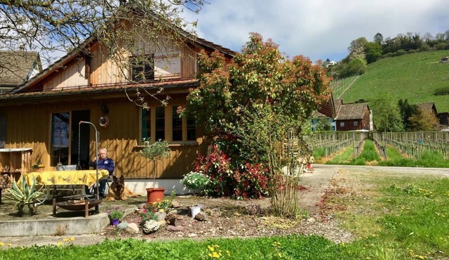 Holiday home in the vineyard