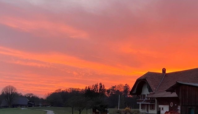 Holiday home "La Ferme" on the farm