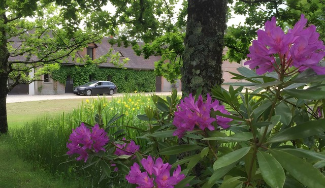 Holiday Home 'Maison De Vacances Le Pré Des Fées' with Lake View, Private Pool and Private Garden