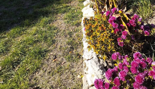 Holiday home near villereal large garden (pets welcome!)