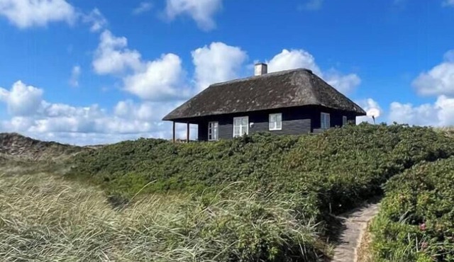 Holiday home overlooking Råbjerg Mile