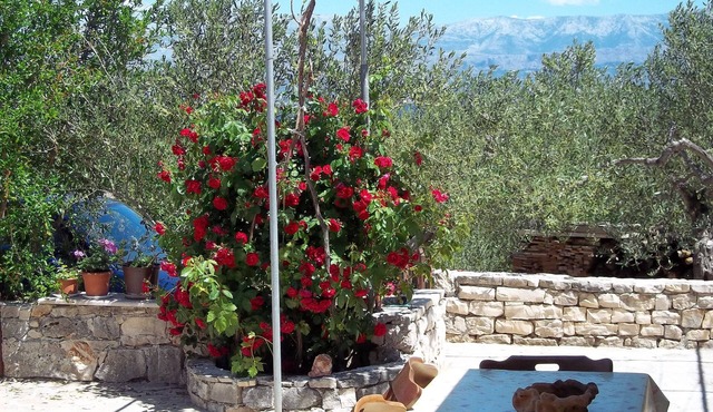 Holiday Home Ruža