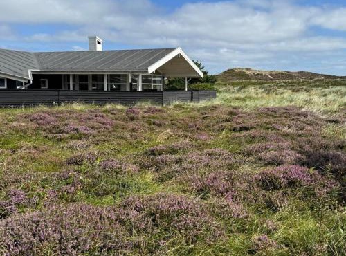 Holiday Home Thrugils - 800m from the sea by Interhome