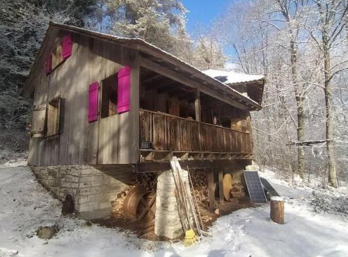 Holiday Home Waldhaus auf Randen by Interhome
