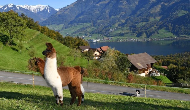 Holiday home with beautiful views of the lake and mountains