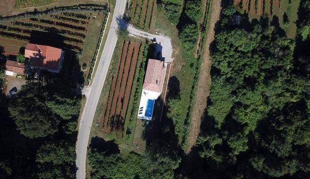Holiday home with pool surrounded with forest and vineyards for 7, Labin, Istria