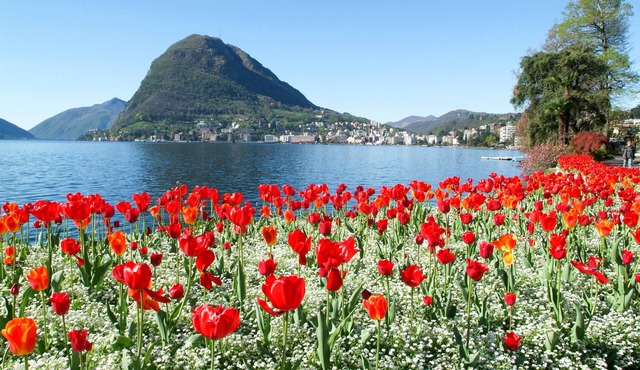 Holiday Home With Pool In Agno