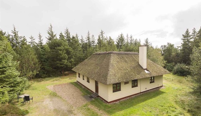 Holiday home with thatched roof and calm