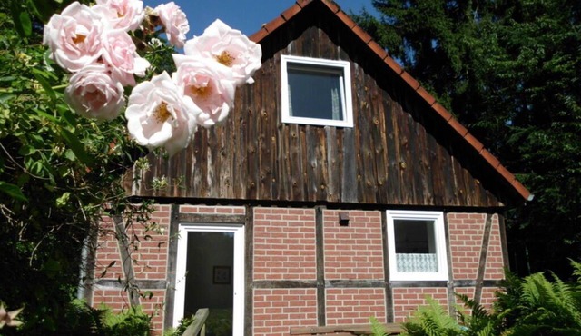 Holiday home Wollspeicher in Soderstorf