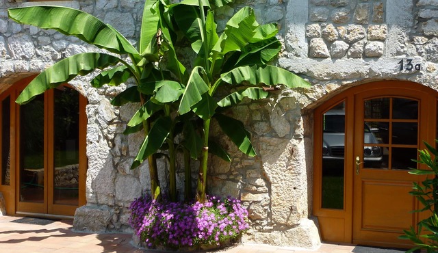 Holiday house, idyllic and in a quiet location, 3 bedrooms for 6 persons, in Sveti Anton