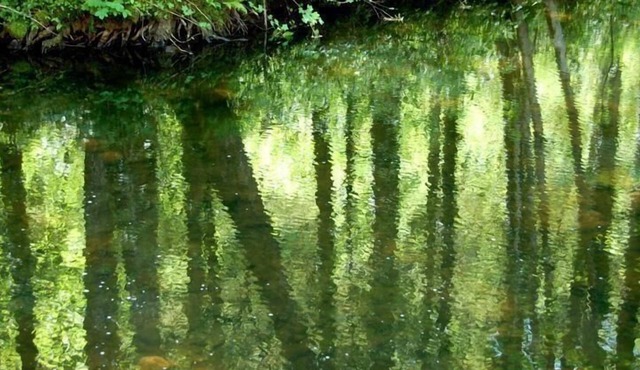 Holiday house Bains les Bains for 1 - 9 persons with 3 bedrooms - Holiday house