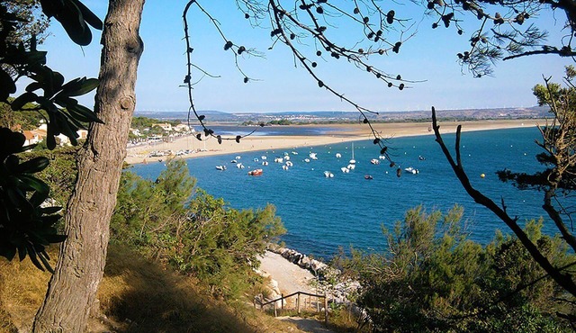 Holiday house Belvèze du Razès for 1 - 5 persons with 2 bedrooms - Holiday house