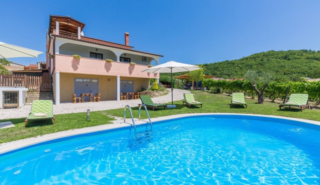 Holiday House Brajdice, private pool, garden