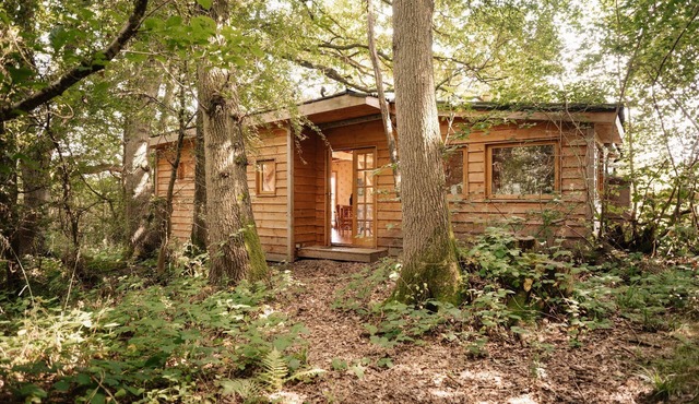 Holiday house Bromyard for 1 - 2 persons - Holiday home