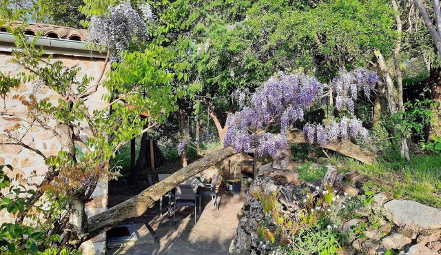 Holiday house Chassiers for 1 - 7 persons with 3 bedrooms - Holiday home