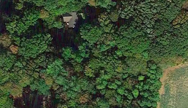 Holiday house Chuelles for 1 - 10 persons with 4 bedrooms - Holiday house