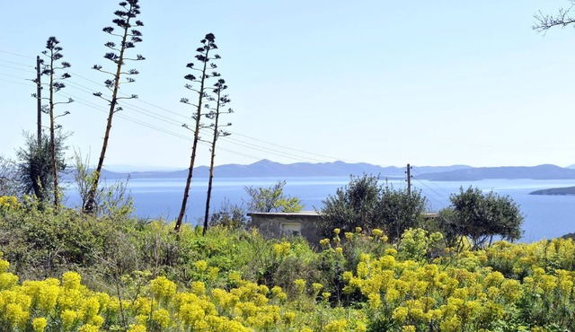 Holiday house Dragove for 1 - 6 persons with 3 bedrooms - Twin house