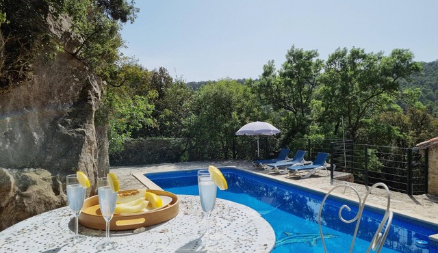 Holiday house for 8 guests with a private pool