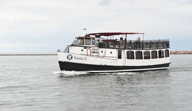 Holiday House! Fully Renovated House, Minutes to EVERYTHING, Pet Friendly!