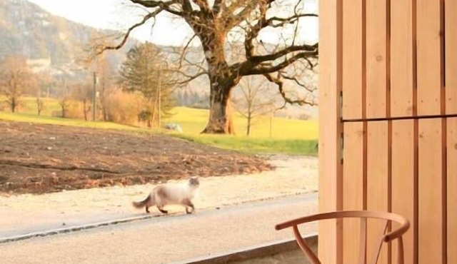 Holiday house Grandval for 6 persons with 3 bedrooms - Farmhouse