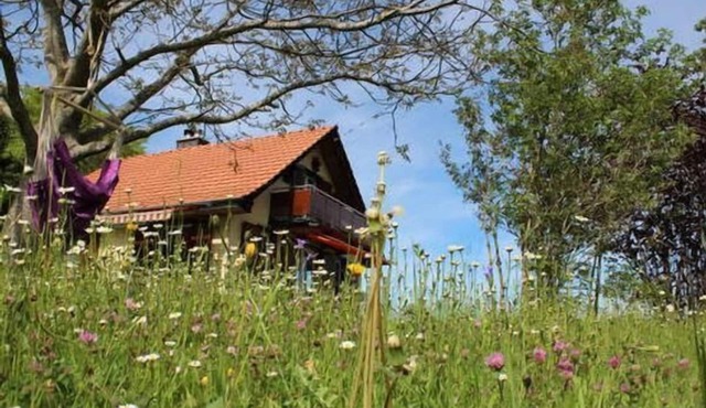 Holiday house Heiden for 4 - 6 persons with 2 bedrooms - Holiday house