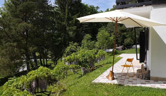 Holiday house, ideal for nature lovers