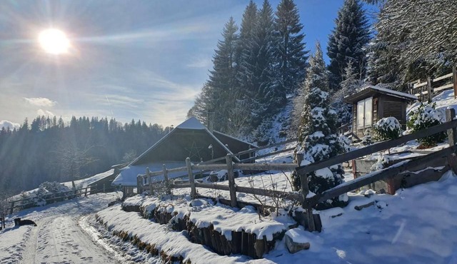 Holiday house Luthern for 1 - 5 persons with 2 bedrooms - Hut