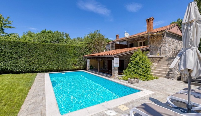 Holiday House Mlin with Private Pool