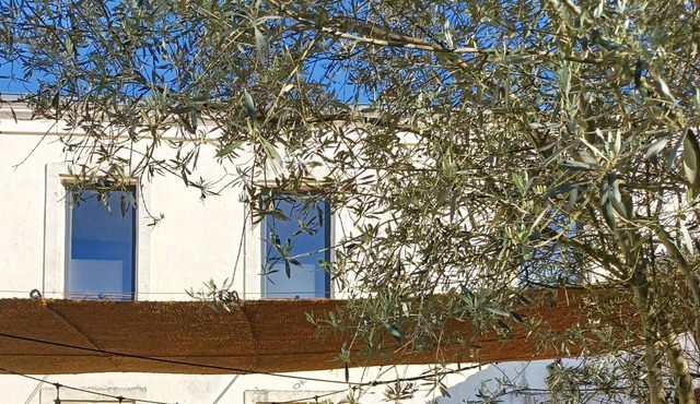 Holiday house near Sea La Rochelle and Châtelaillon-Plage