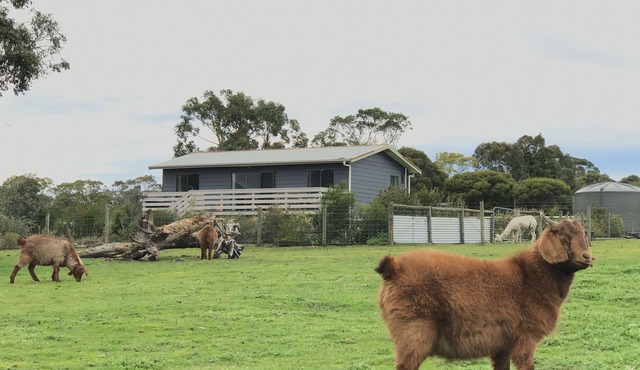 Holiday House on 6 acres (Farm Stay)