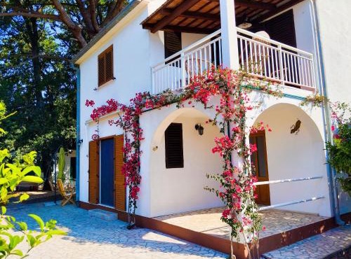 Holiday house Pinus Pinea