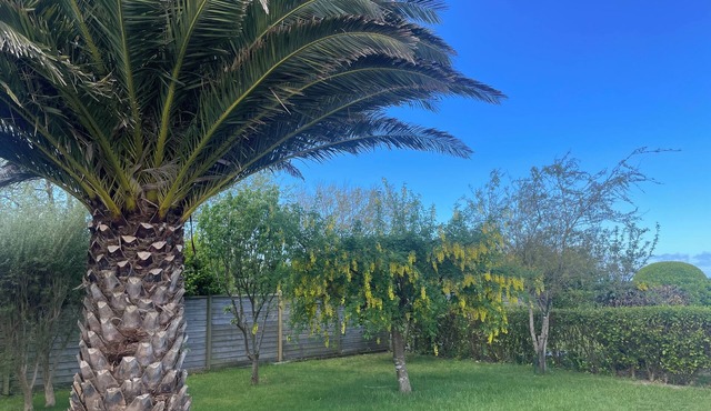 Holiday House Saint Pabu