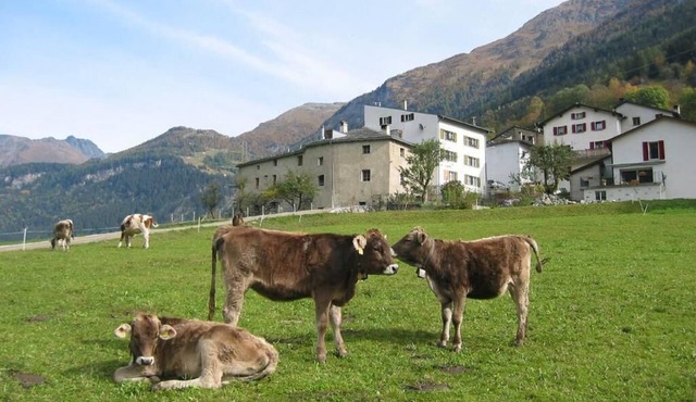 Holiday house San Carlo for 2 - 12 persons with 3 bedrooms - Farmhouse