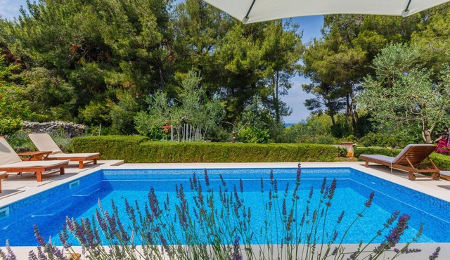 Holiday house Sanda - with pool : - Mirca, Island Brac, Croatia