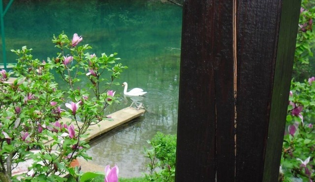 Holiday house " Sonja" on the river Mrežnica for relaxing or active holidays