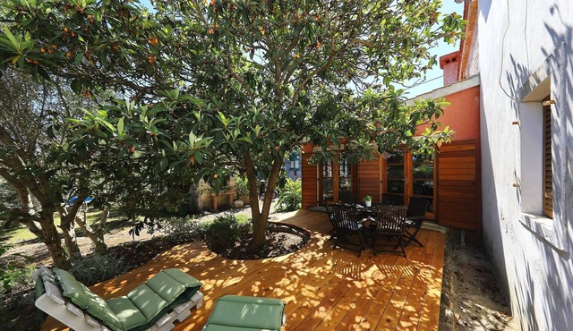 Holiday house Stara Frajla is newly renovated 105 years old stone house.