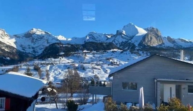 Holiday house Wildhaus for 1 - 10 persons with 4 bedrooms - Chalet