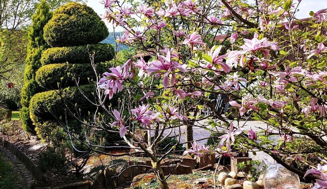 Holiday house with a garden on the Alsatian Wine Route