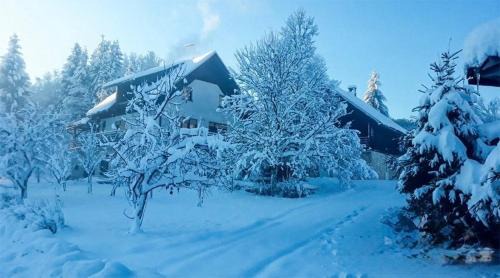 Holiday house with a parking space Srednja Draga, Gorski kotar - 24140